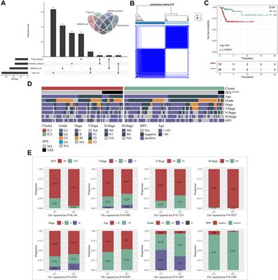 Definition of immune molecular subtypes with distinct immune microenvironment, recurrence, and PANoptosis features to aid clinical therapeutic decision-making